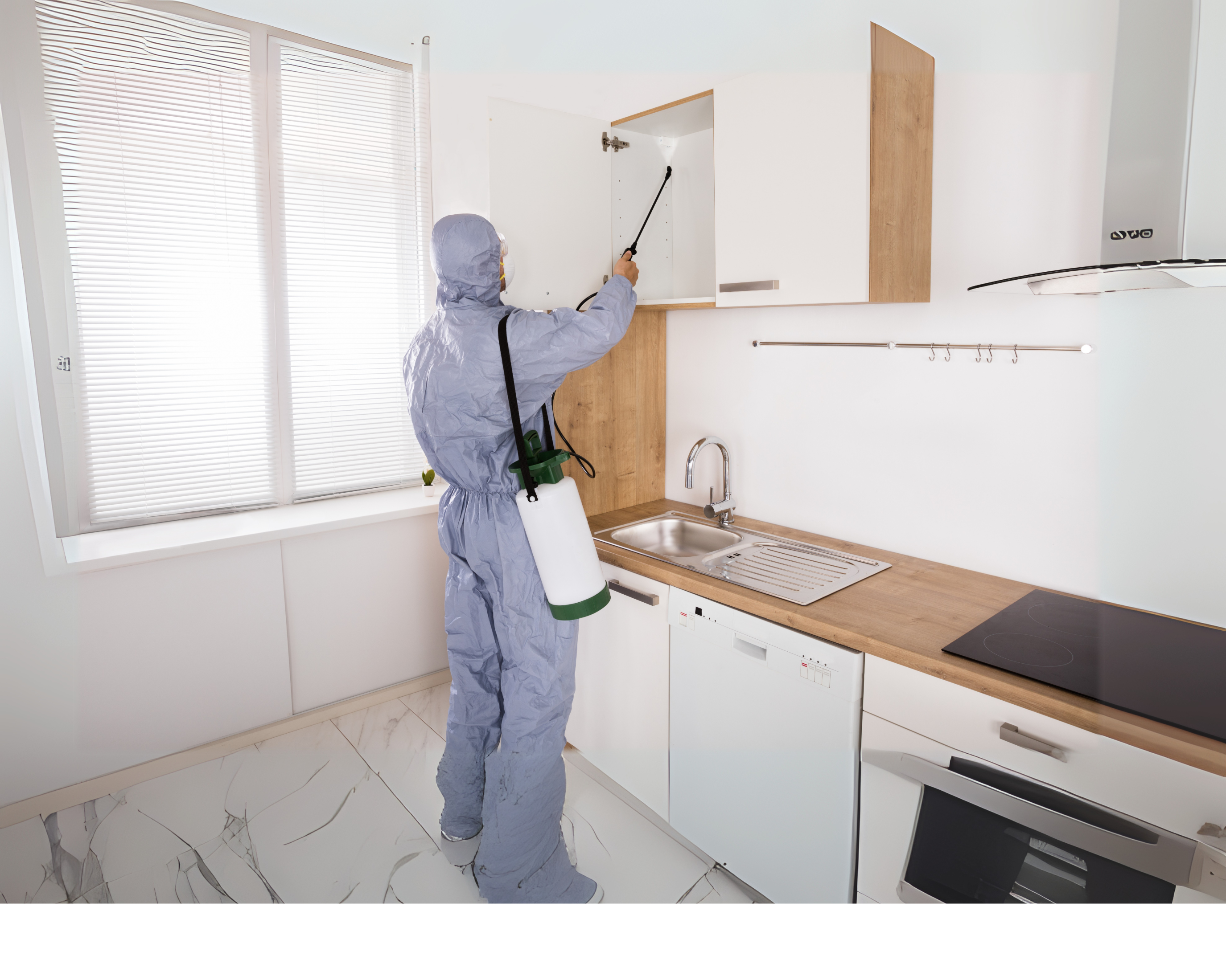 M Pest Control About Us – R&M Pest Control